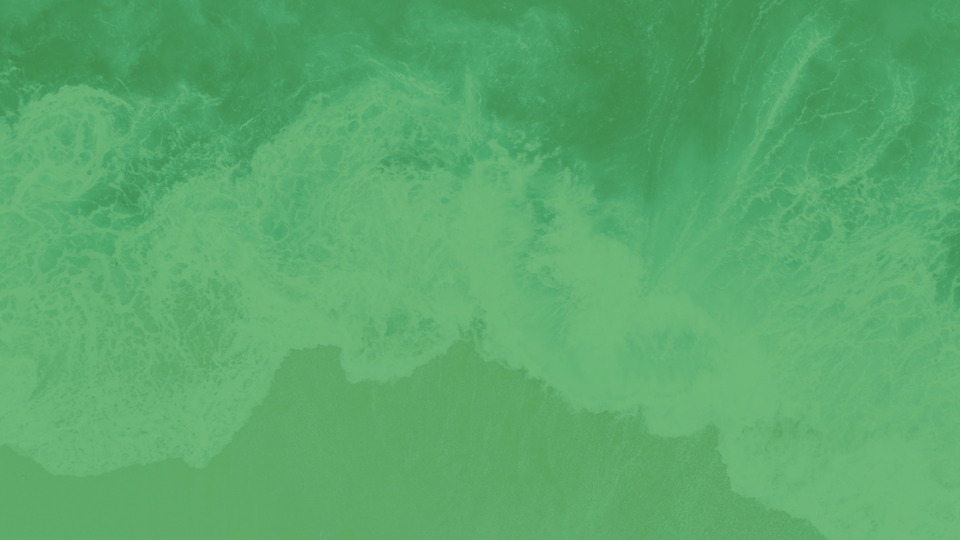 DiKKA — A Sustainable Lifestyle Brand