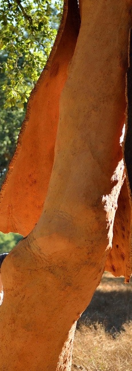 Eco Cork recycled material
